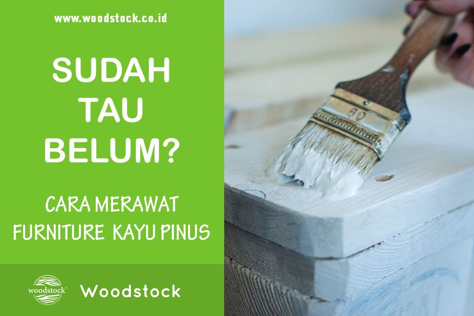 furniture kayu pinus