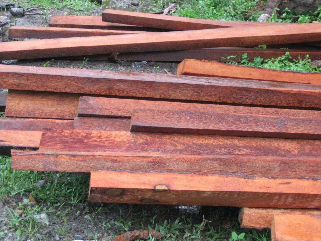  kerajinan  dari  limbah kayu  pinus  WOODSTOCK